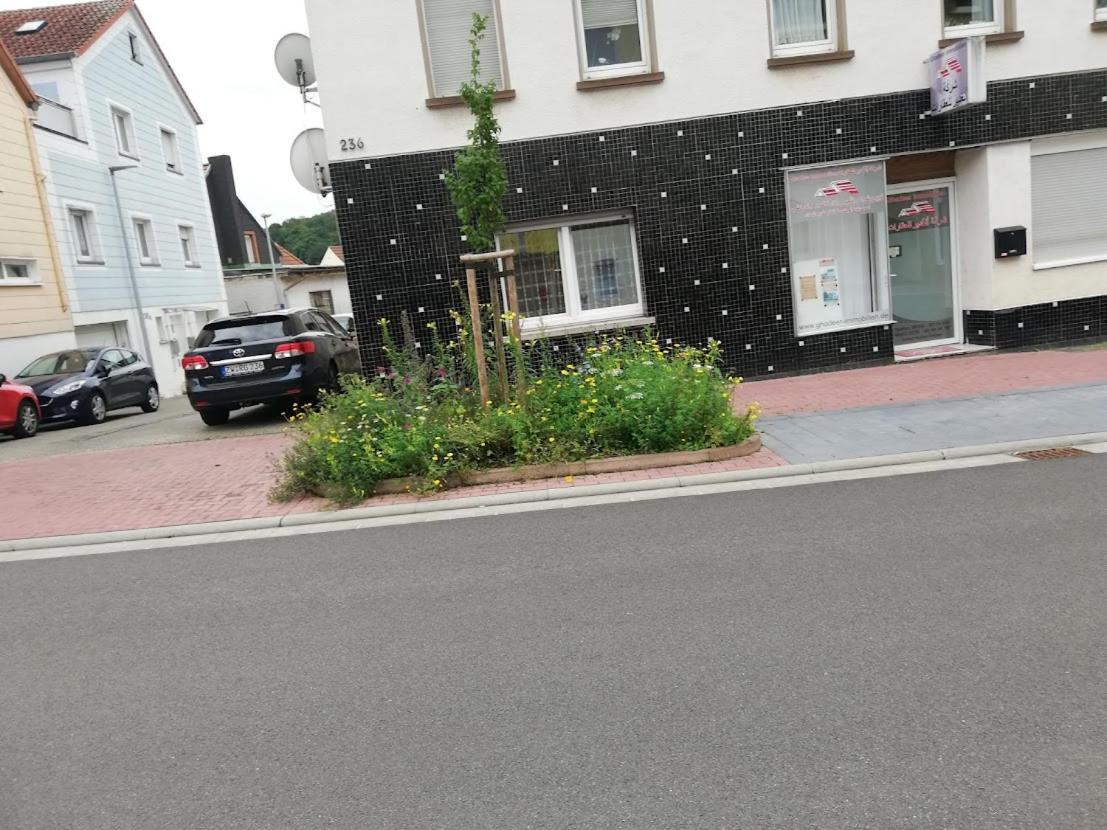 Zweibrücken Sunflower מראה חיצוני תמונה